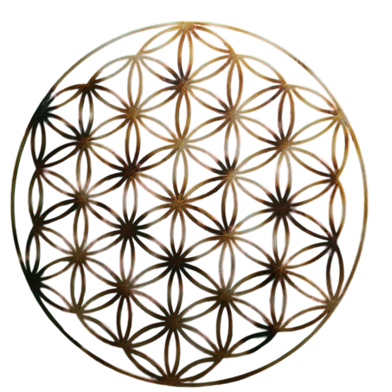 Kvantový Kvet Života TachyoGraviton BrahmaLoka© Kvantový Kvet Života TachyoGraviton BrahmaLoka©