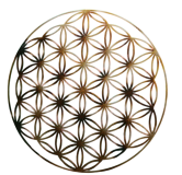 Kvantový Kvet Života TachyoGraviton BrahmaLoka©