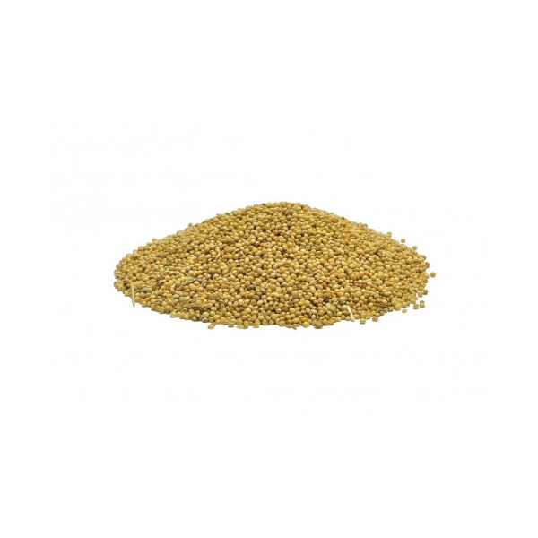 Golden Millet unpeeled – AsgardShopping